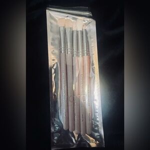 Set of Makeup Brushes